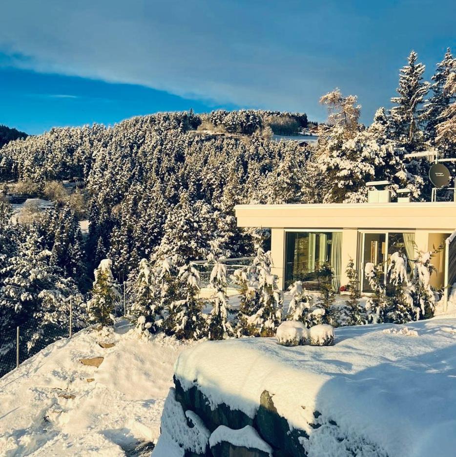 Chalet Tschattlhof Dolomites Cavalese Exteriér fotografie