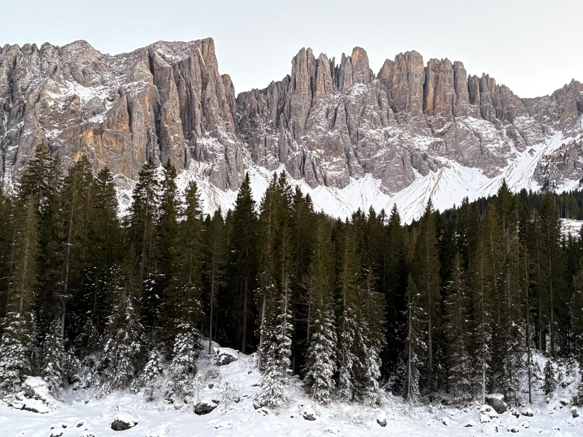 Chalet Tschattlhof Dolomites Cavalese Exteriér fotografie